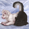 Achromia & Melanism Fluff Conjoined